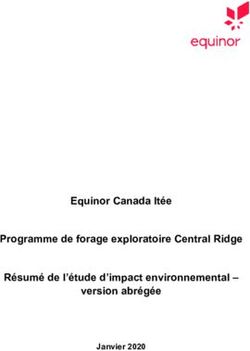 Equinor Canada ltée Programme de forage exploratoire Central Ridge Résumé de l'étude d'impact environnemental - version abrégée - Janvier 2020