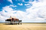 GARE AUX SECRETS ! DE BORDEAUX À ARCACHON - La Nouvelle-Aquitaine autrement avec TER