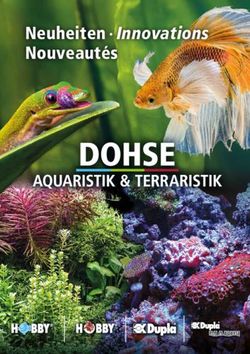 Neuheiten Innovations Nouveaut&eacute;s - Dupla