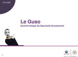Le Guso Guichet Unique du Spectacle Occasionnel 11/01/2021 - Communaut&eacute; Pays basque
