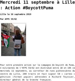 Mercredi 11 septembre &agrave; Lille : Action #BoycottPuma - BDS France