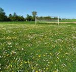 LES CLUBS FACE AU COVID - AFF