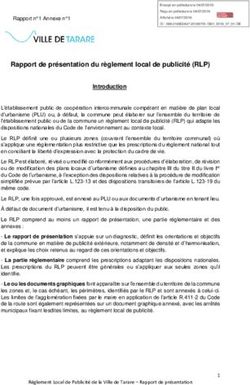 Rapport de présentation du règlement local de publicité (RLP)
