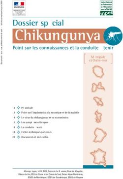 Chikungunya Dossier sp&eacute;cial