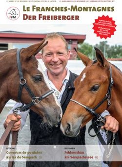 Le Franches-Montagnes Der Freiberger - Schweizerischer ...