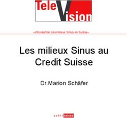 Les milieux Sinus au Credit Suisse - Dr.Marion Schäfer "Introduction des milieux Sinus en Suisse"