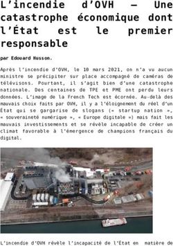 L'incendie d'OVH - Une catastrophe économique dont premier