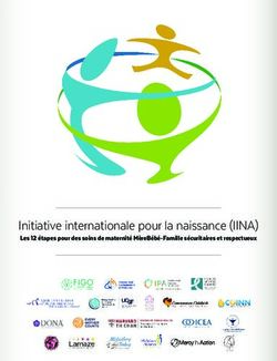 Initiative internationale pour la naissance (IINA) - Les 12 étapes pour des soins de maternité MèreBébé-Famille sécuritaires et respectueux