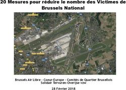 20 Mesures pour réduire le nombre des Victimes de Brussels National - Brussels Air Libre - Coeur-Europe - Comités de Quartier Bruxellois Solidair ...