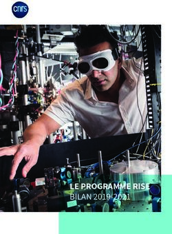 LE PROGRAMME RISE BILAN 2019-2021 - CNRS