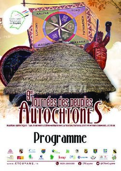 Programme - collectivit&eacute; territoriale de Guyane