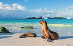 GALAPAGOS CROISIERE AUX ILES - NOUVEAUT&Eacute; 2019 - Croisi&egrave;res Lecteurs Mondadori