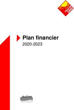Plan financier 2020-2023 - Ville de Sierre