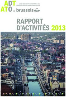 RAPPORT D'ACTIVITÉS 2013 - perspective.brussels