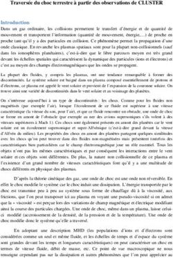 Travers&eacute;e du choc terrestre &agrave; partir des observations de CLUSTER