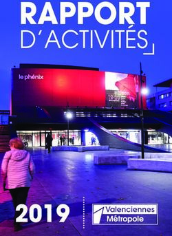 RAPPORT D'ACTIVITÉS - Valenciennes Métropole
