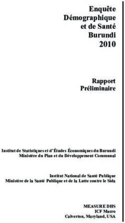 Enquête Démographique et de Santé Burundi - The DHS ...