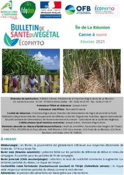 &Icirc;le de La R&eacute;union Canne &agrave; sucre F&eacute;vrier 2021 - bsv reunion