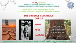 SOS URGENCE CLIMATIQUE COP 25 - TEMPS POUR L'ACTION - SOS CO2 ...