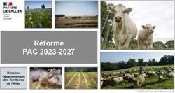 R&eacute;forme PAC 2023-2027 - Direction D&eacute;partementale des Territoires de l'Allier - Pr&eacute;fecture de l'Allier