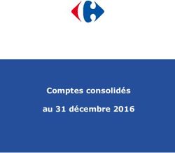 Comptes consolidés au 31 décembre 2016 - Carrefour Group