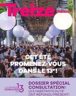 CET &Eacute;T&Eacute; PROMENEZ-VOUS - DANS LE 13E ! DOSSIER SP&Eacute;CIAL CONSULTATION : VILLE DE PARIS