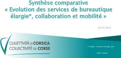Synthèse comparative " Evolution des services de bureautique élargie*, collaboration et mobilité " 02/07/2019 - Collectivité de Corse