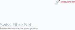 Swiss Fibre Net Pr&eacute;sentation d'entreprise et des produits - Xavier Studer