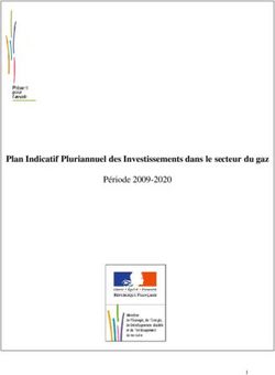 Plan Indicatif Pluriannuel des Investissements dans le secteur du gaz - Période 2009-2020 - INIS