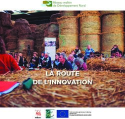 LA ROUTE DE L'INNOVATION - Réseau wallon de Développement ...