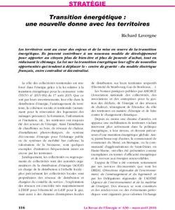 Strat&eacute;gie Transition &eacute;nerg&eacute;tique : une nouvelle donne avec les territoires - La Revue ...