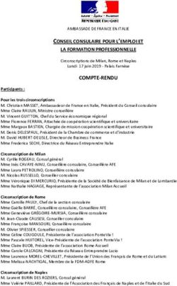 COMPTE-RENDU CONSEIL CONSULAIRE POUR L'EMPLOI ET LA FORMATION PROFESSIONNELLE - Ambassade de France en Italie