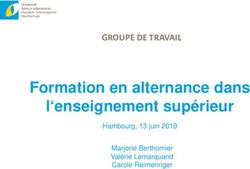 Formation en alternance dans l'enseignement supérieur - GROUPE DE TRAVAIL Hambourg, 13 juin 2019 - Deutsch-Französische Hochschule