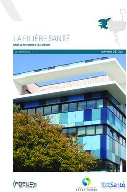 LA FILIÈRE SANTÉ RAPPORT D'ÉTUDE - Technopôle Brest-Iroise
