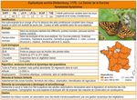Plan national d'actions 2018-2028 - En faveur des papillons de jour Agir pour la pr&eacute;servation de nos l&eacute;pidopt&egrave;res diurnes patrimoniaux ...
