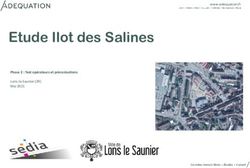 Etude Ilot des Salines - Phase 2 : Test opérateurs et préconisations Lons-le-Saunier (39) Mai 2021 - Ville de Lons-le-Saunier