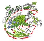 L'environnement au jardin - n Guide de bonnes pratiques pour le respect