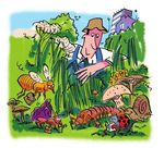 L'environnement au jardin - n Guide de bonnes pratiques pour le respect