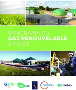 PANORAMA DU GAZ RENOUVELABLE EN 2018 - GRTgaz