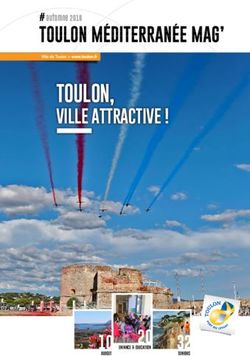 TOULON, VILLE ATTRACTIVE ! - Ville de Toulon