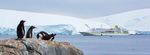 ANTARCTIQUE Le Continent Blanc, Terre des Extrêmes - Plein Cap croisieres