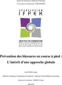 Pr&eacute;vention des blessures en course &agrave; pied : L'int&eacute;r&ecirc;t d'une approche globale - Portail du Centre ...