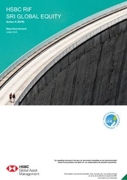HSBC RIF SRI GLOBAL EQUITY - Action A (EUR) Reporting mensuel Juillet 2020 - Euronext Funds360