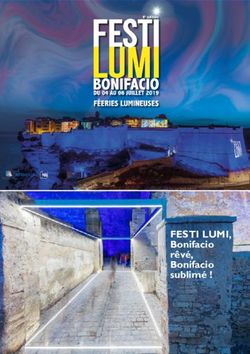 FESTI LUMI, Bonifacio rêvé, Bonifacio sublimé ! - Bonifacio.fr