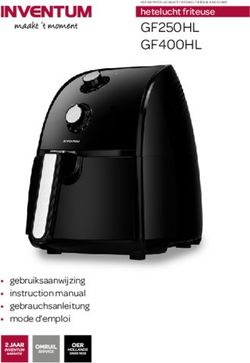 GF250HL GF400HL hetelucht friteuse - gebruiksaanwijzing instruction manual gebrauchsanleitung mode d'emploi - Plezier in de Keuken