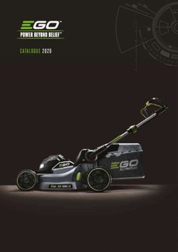 CATALOGUE 2020 - EGO Power +