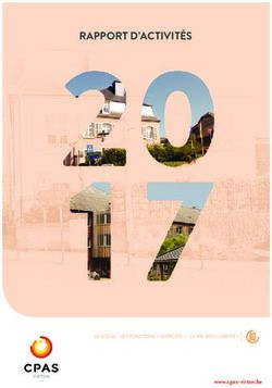 RAPPORT D'ACTIVIT&Eacute;S - www.cpas-virton.be - CPAS de Virton