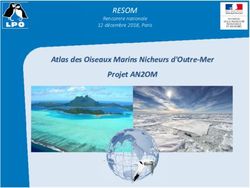 RESOM Atlas des Oiseaux Marins Nicheurs d'Outre-Mer Projet AN2OM - Rencontre nationale