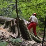 ÉTÉ 2022 - Parc naturel régional de Chartreuse