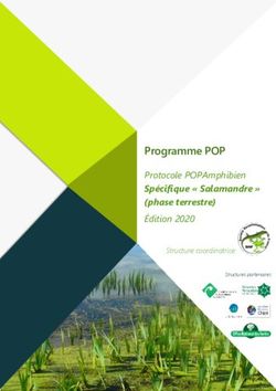Programme POP Spécifique " Salamandre " (phase terrestre) - Protocole POPAmphibien